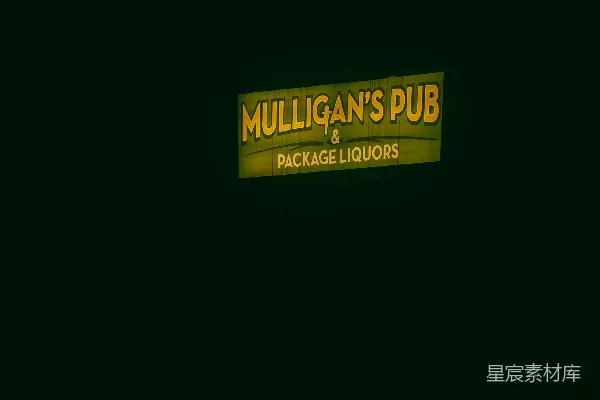 高清摄影 夜晚的 Mulligan's Pub 标识
