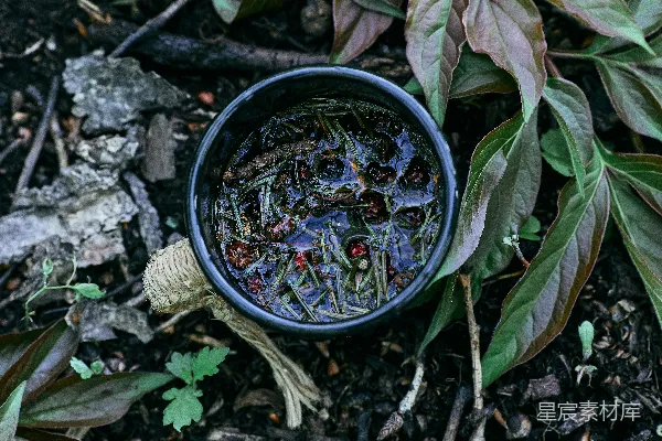 高清摄影 自然元素与手工茶杯的和谐
