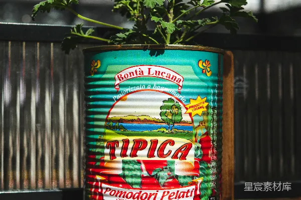 高清摄影 旧罐变身植物盆栽