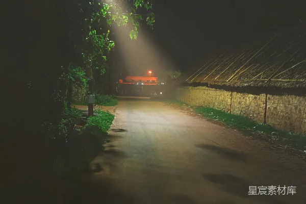 高清摄影 乡村夜晚的路灯
