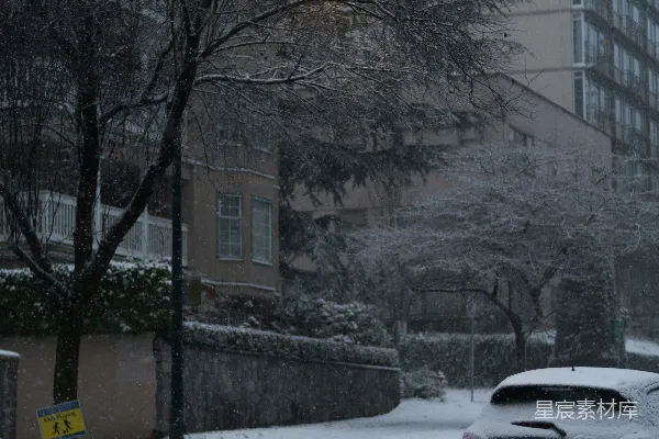 高清摄影 冬日雪景中的城市街道