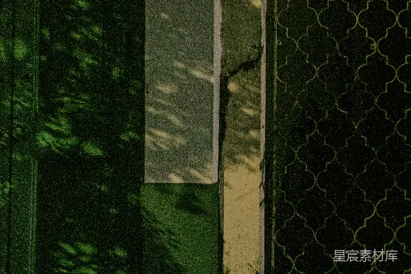 高清摄影 绿色植物与几何图案的抽象拼接
