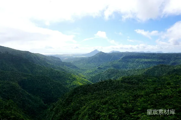 高清摄影 丛林山谷的宁静景色