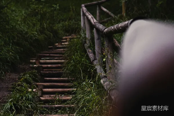 高清摄影 森林中的木质阶梯