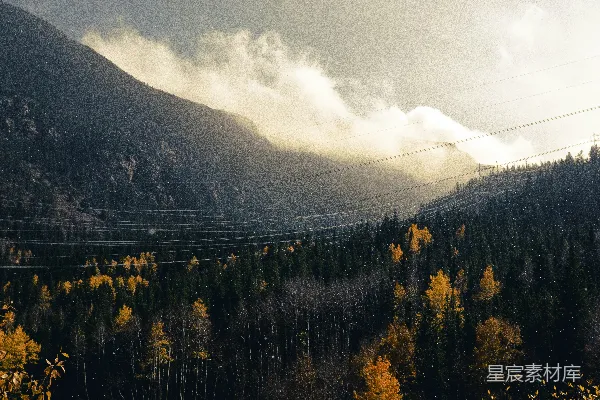高清摄影 山林与电线的交响
