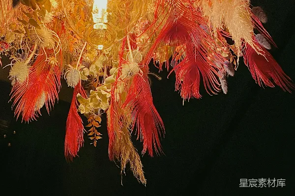 高清摄影 秋日花灯：温暖的自然装饰