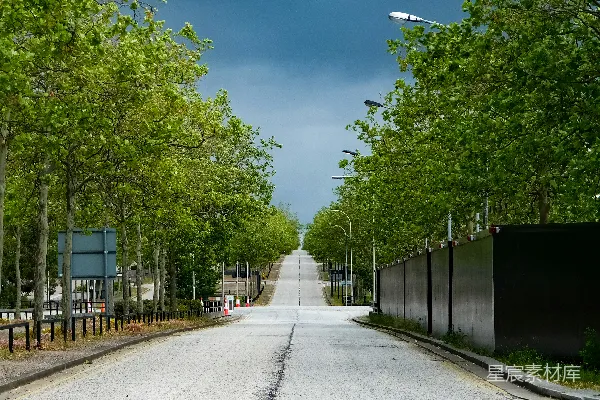 高清摄影 林荫大道