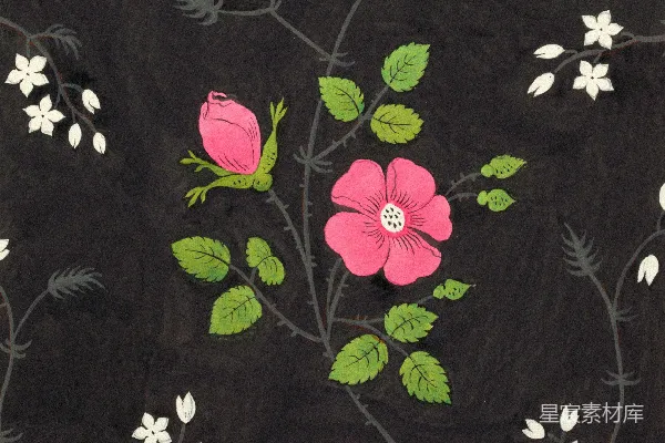 高清摄影 黑色背景上的粉红花朵