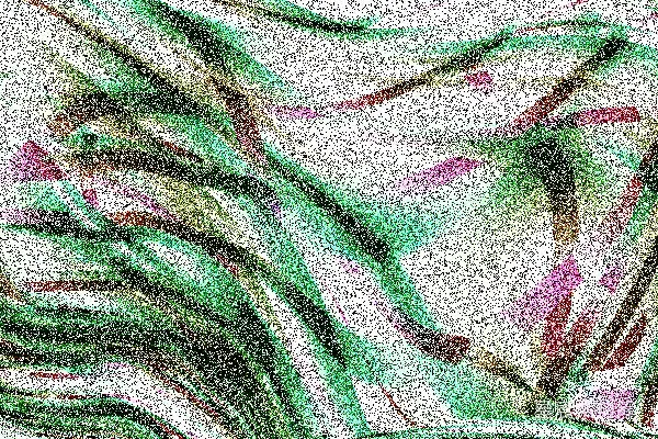 高清摄影 抽象艺术的色彩漩涡