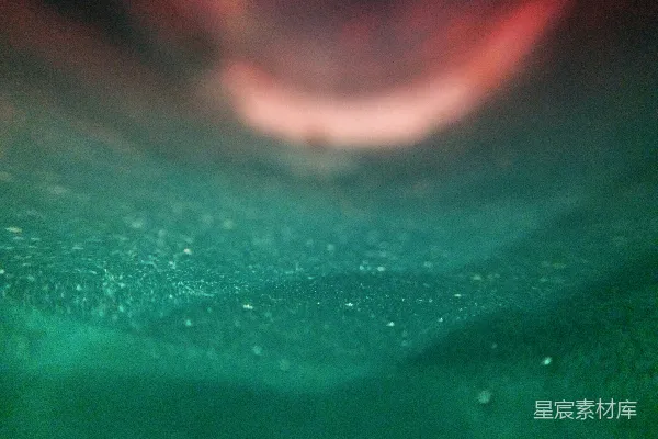 高清摄影 深海中的神秘生物