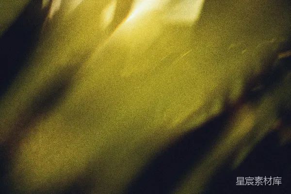 高清摄影 金色的光晕