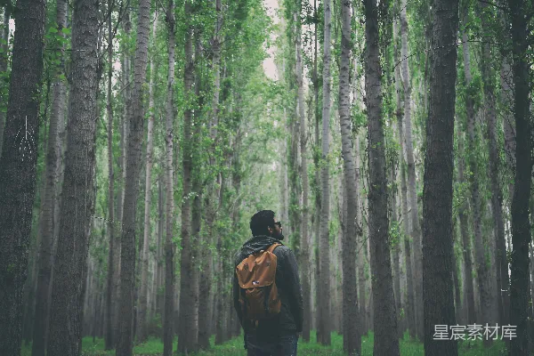 高清摄影 人在森林深处的思考