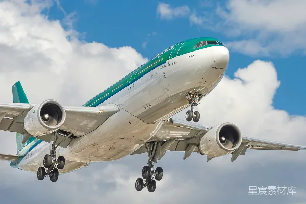 高清摄影 爱尔兰航空A330-200客机降落