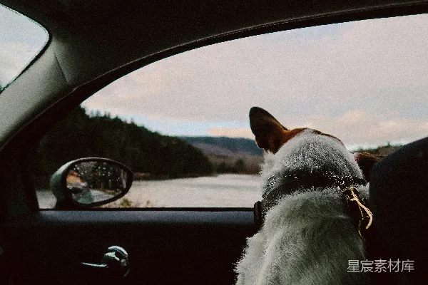 高清摄影 车窗外的旅伴