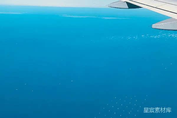 高清摄影 空中俯瞰：飞机翅膀与海面上的鸟群
