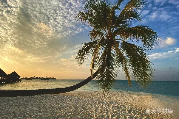 高清摄影 热带海滩日落