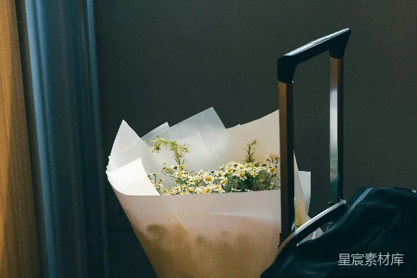 高清摄影 飞机上的花束与行李