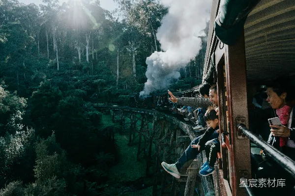 高清摄影 森林中的蒸汽火车之旅