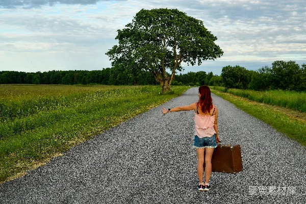 高清摄影 孤独的旅行者与孤独的树
