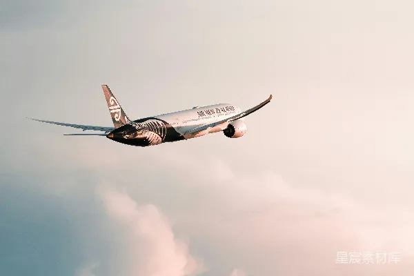 高清摄影 新西兰航空的空中之旅