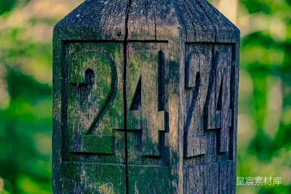 高清摄影 古老木桩上的数字242