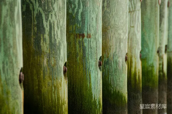 高清摄影 绿色苔藓的木桩纹理
