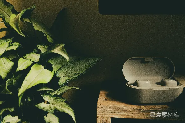 高清摄影 静谧角落：耳机与绿植的邂逅