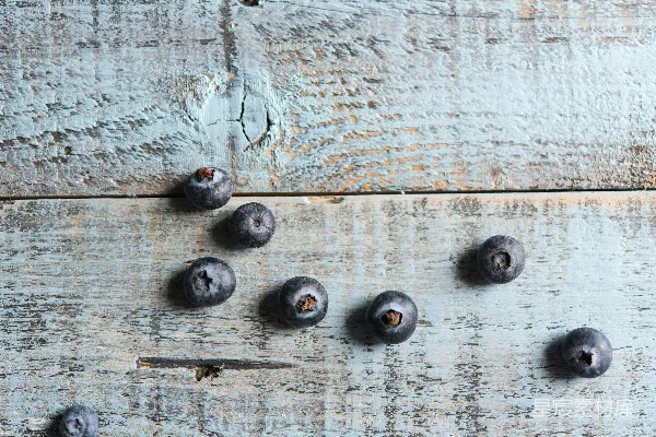 高清摄影 蓝莓与岁月的痕迹