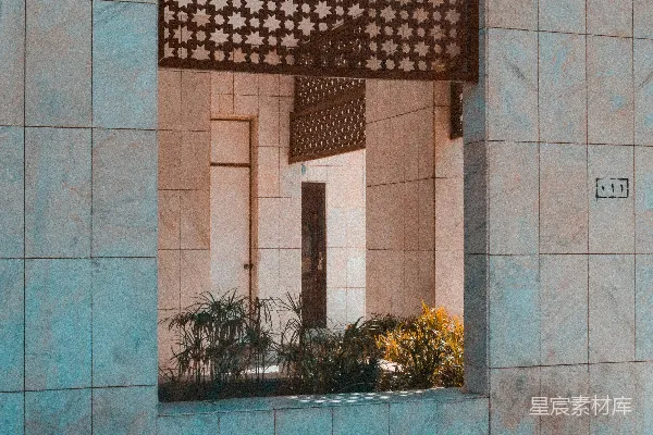 高清摄影 建筑的光影与植物