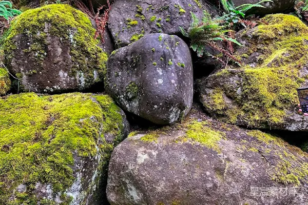 高清摄影 青苔覆盖的岩石群