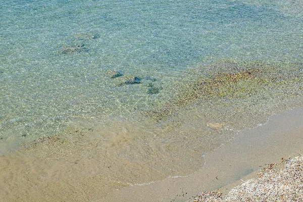 高清摄影 清澈海浪与沙滩