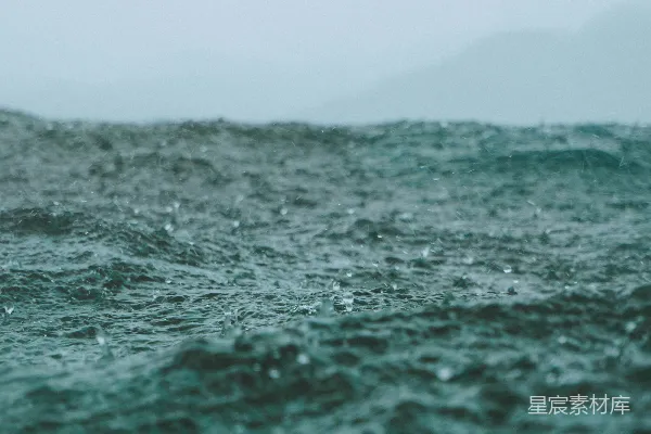 高清摄影 雨滴中的世界