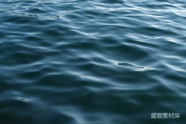 高清摄影 宁静的水面涟漪