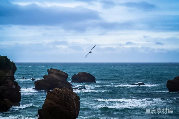 高清摄影 海鸥掠过岩石海岸