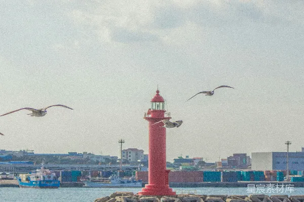 高清摄影 海港灯塔与海鸥