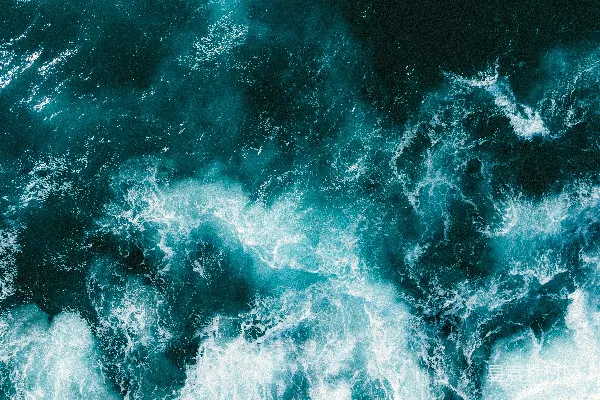 高清摄影 海洋的狂野与宁静