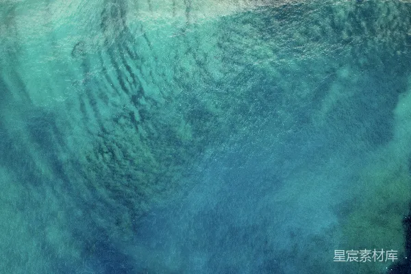 高清摄影 深海之谜