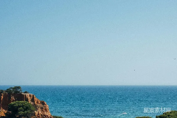 高清摄影 海岸与森林的宁静景色