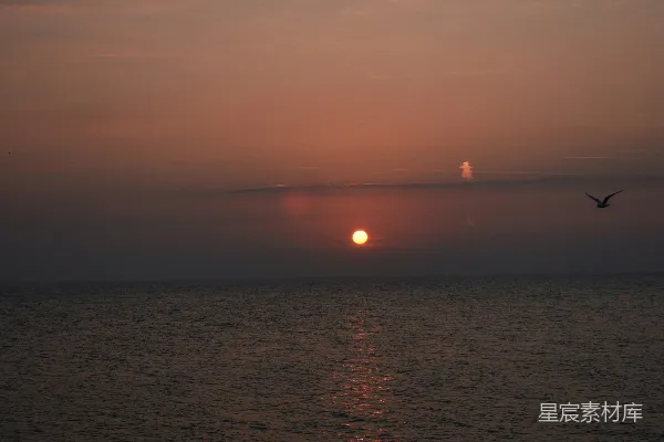 高清摄影 黄昏海面上的孤鸟与日落