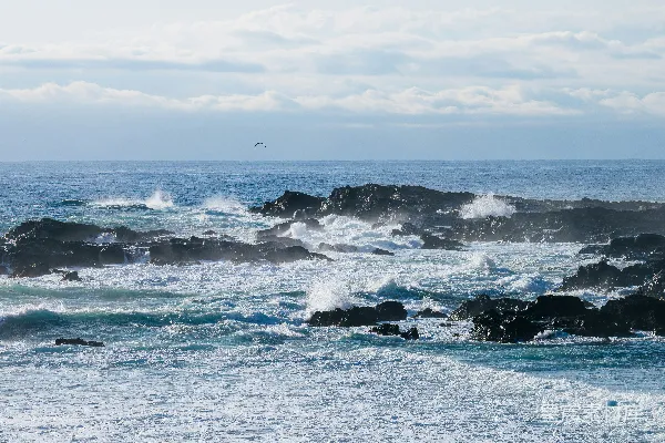 高清摄影 岩石海岸的波浪