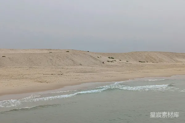 高清摄影 海滩与沙丘的宁静场景