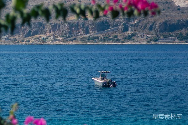 高清摄影 粉花点缀的海岸风景