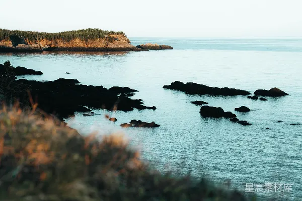 高清摄影 晨光中的海岸线