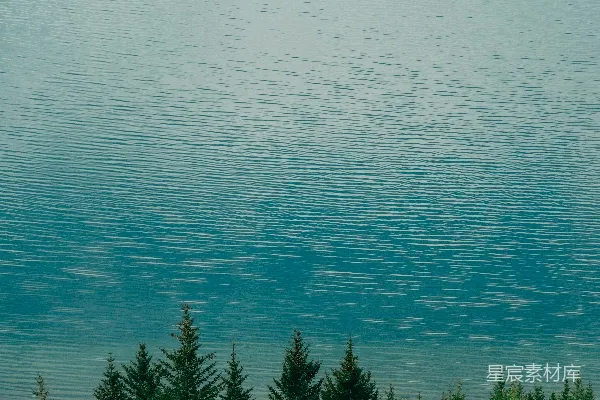 高清摄影 湖畔松林
