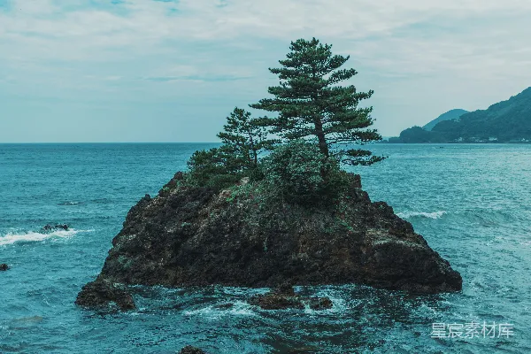 高清摄影 海边孤岛上的松树