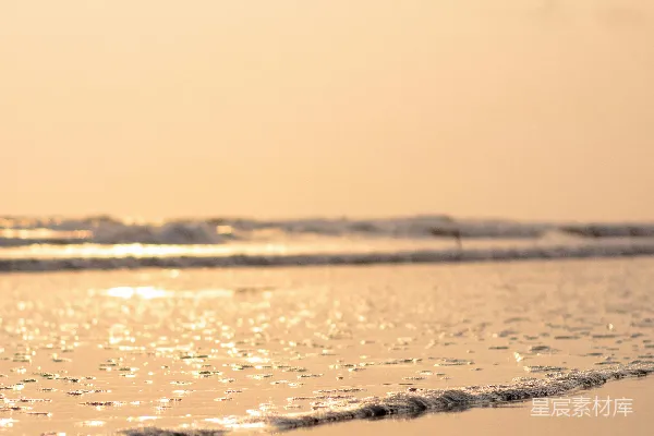 高清摄影 夕阳下的海滩