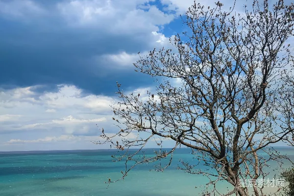 高清摄影 海边的冬日风景