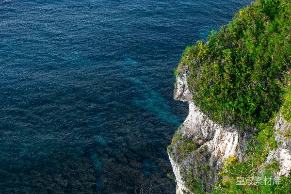 高清摄影 悬崖边的绿色植被与深邃海洋