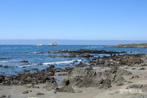高清摄影 岩石海岸线与海鸟