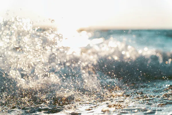 高清摄影 阳光下的海浪